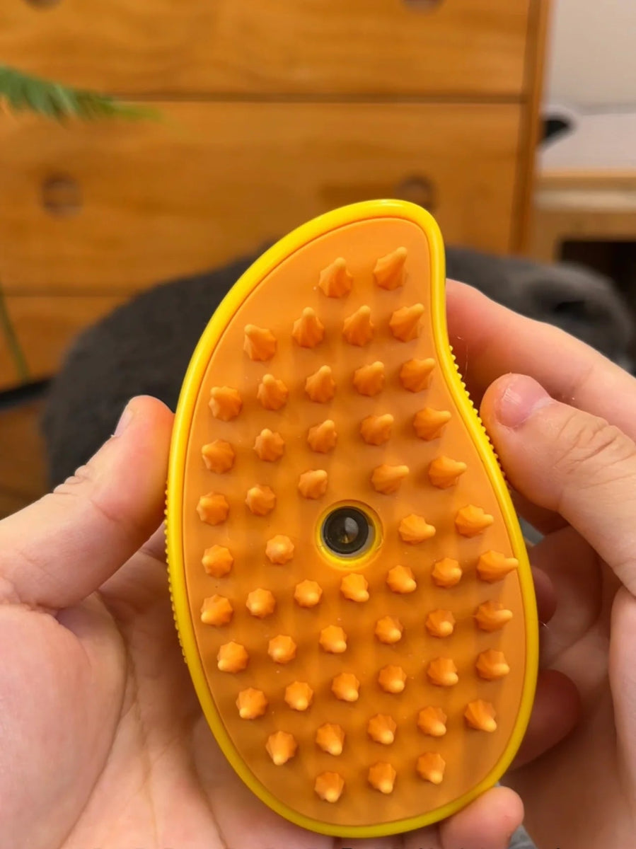 Cat Steam Grooming Brush