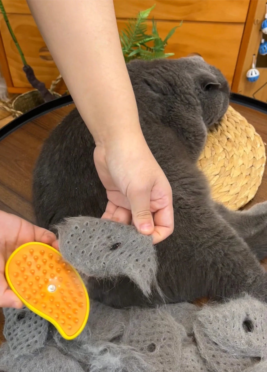 Cat Steam Grooming Brush